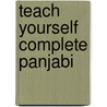 Teach Yourself Complete Panjabi by Surjit Singh Kalra