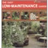 The Easy Low-Maintenance Garden