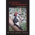 The Travails Of Two Woodpeckers