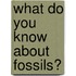 What Do You Know About Fossils?