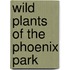 Wild Plants Of The Phoenix Park