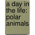 A Day in the Life: Polar Animals