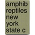 Amphib Reptiles New York State C