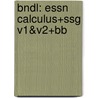 Bndl: Essn Calculus+Ssg V1&V2+Bb door Ron Larson