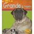 Grande y Pequeno = Big and Small