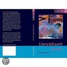 Llenyddiaeth Cymru - Llyfr Poced door Dafydd Johnston