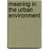 Meaning In The Urban Environment