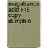 Megatrends Asia X18 Copy Dumpbin