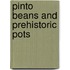 Pinto Beans and Prehistoric Pots
