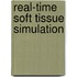 Real-Time Soft Tissue Simulation