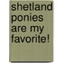 Shetland Ponies Are My Favorite!