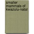 Smaller Mammals Of Kwazulu-Natal