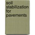 Soil Stabilization For Pavements
