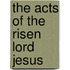 The Acts of the Risen Lord Jesus