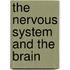 The Nervous System And The Brain