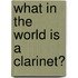 What In The World Is A Clarinet?