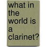 What In The World Is A Clarinet? door Mary Elizabeth Salzmann