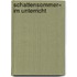 Schattensommer« im Unterricht