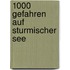 1000 Gefahren Auf Sturmischer See