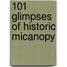 101 Glimpses of Historic Micanopy door Steven Rajtar