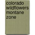 Colorado Wildflowers Montane Zone