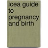 Icea Guide To Pregnancy And Birth door Megan McGinnis