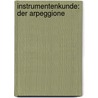 Instrumentenkunde: Der Arpeggione by Sebastian Bluschke