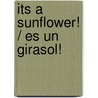 Its a Sunflower! / Es un girasol! door Elisa Peters