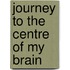 Journey To The Centre Of My Brain