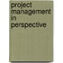 Project Management In Perspective