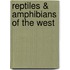 Reptiles & Amphibians of the West