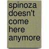 Spinoza Doesn't Come Here Anymore door Colette Inez
