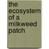 The Ecosystem of a Milkweed Patch