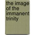 The Image Of The Immanent Trinity