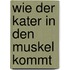 Wie der Kater in den Muskel kommt