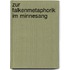 Zur Falkenmetaphorik Im Minnesang