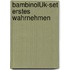 bambinoLÜK-Set Erstes Wahrnehmen