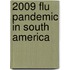 2009 Flu Pandemic In South America