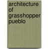 Architecture Of Grasshopper Pueblo door Charles Riggs