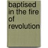 Baptised In The Fire Of Revolution
