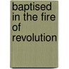 Baptised In The Fire Of Revolution door Jun Xing
