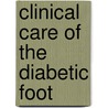 Clinical Care Of The Diabetic Foot door Lawrence Lavery
