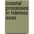 Coastal Processes In Tideless Seas