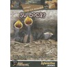 Como Usan Los Animales...Sus Boca? door Lynn M. Stone