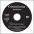Criminal Justice Simulations Brief