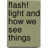 Flash! Light And How We See Things door Peter Riley