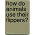 How Do Animals Use Their Flippers?
