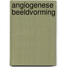 Angiogenese beeldvorming door Hessel Wijkstra
