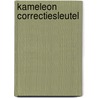 Kameleon correctiesleutel by Robert Van Den Abbeele