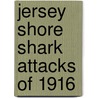 Jersey Shore Shark Attacks of 1916 door John McBrewster